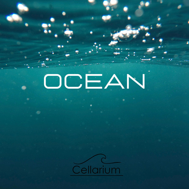 Ocean cover art