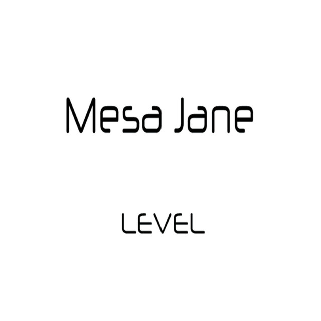 Level cover art