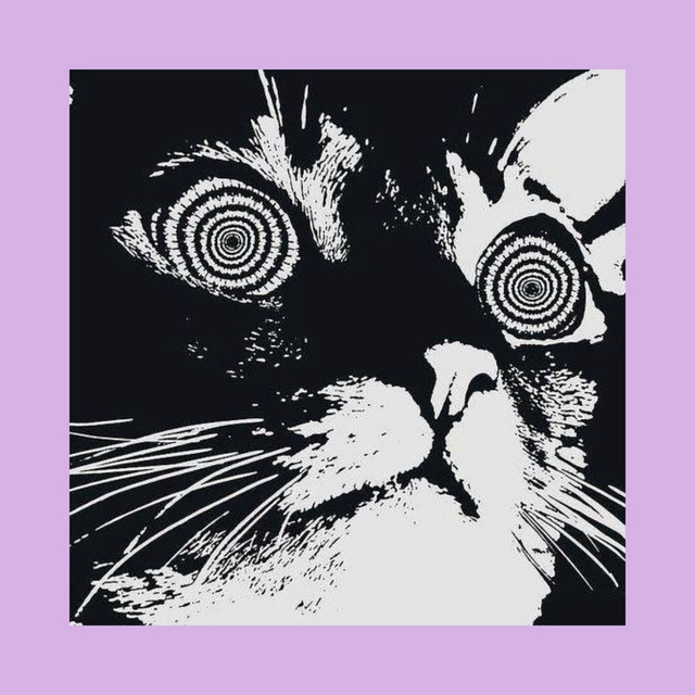 vortex cover art
