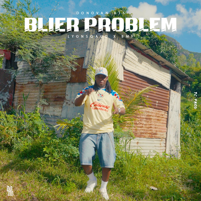 Blier Problem cover art