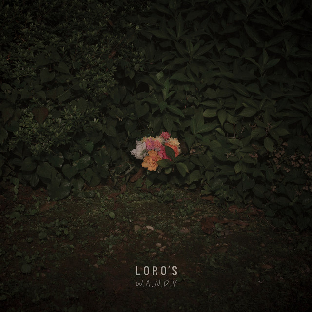 W.A.N.D.Y cover art