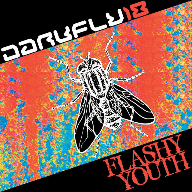 Flashy Youth cover