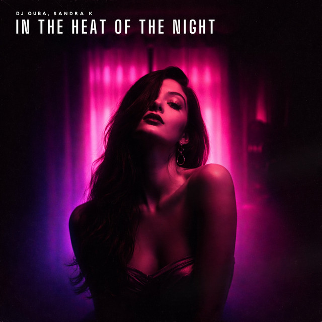 Обкладинка: In the Heat of the Night — Dj Quba