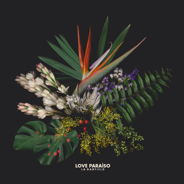 Love Paraíso cover art