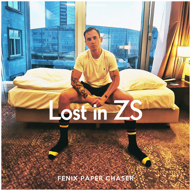 Lost in ZS cover art