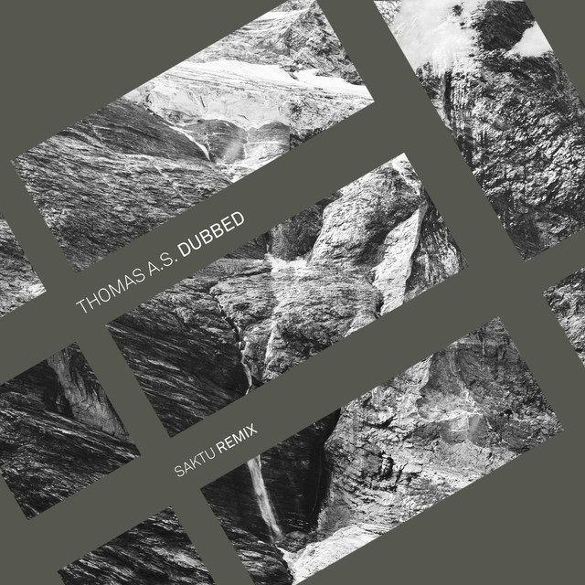 Dubbed - Saktu Remix cover art