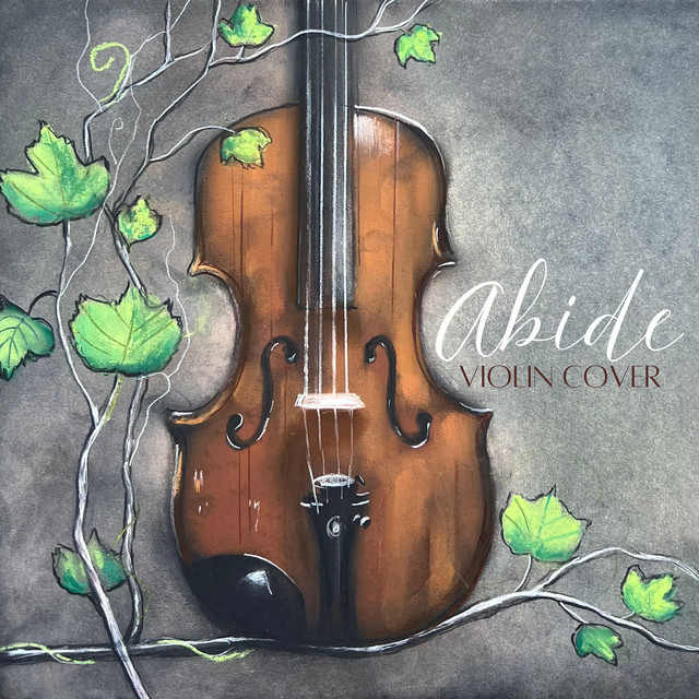 Abide - Violin Cover