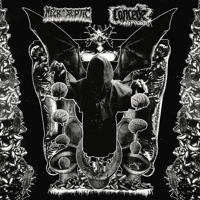 Necroseptic