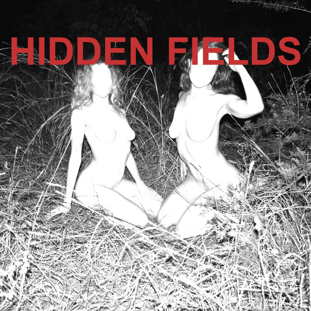 Hidden Fields cover art