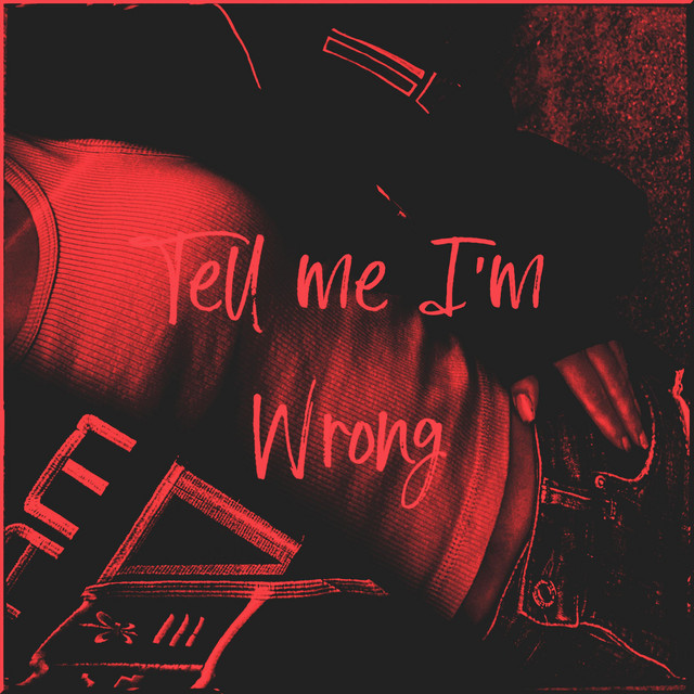 Tell Me I'm Wrong cover