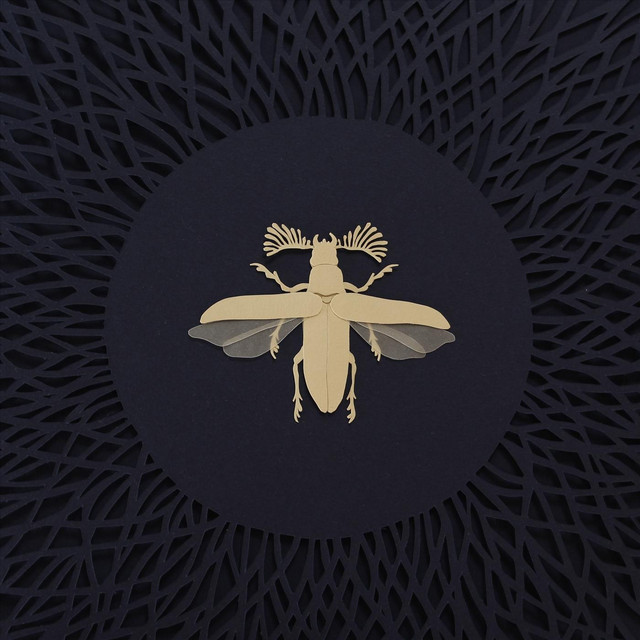 Cerca cover art