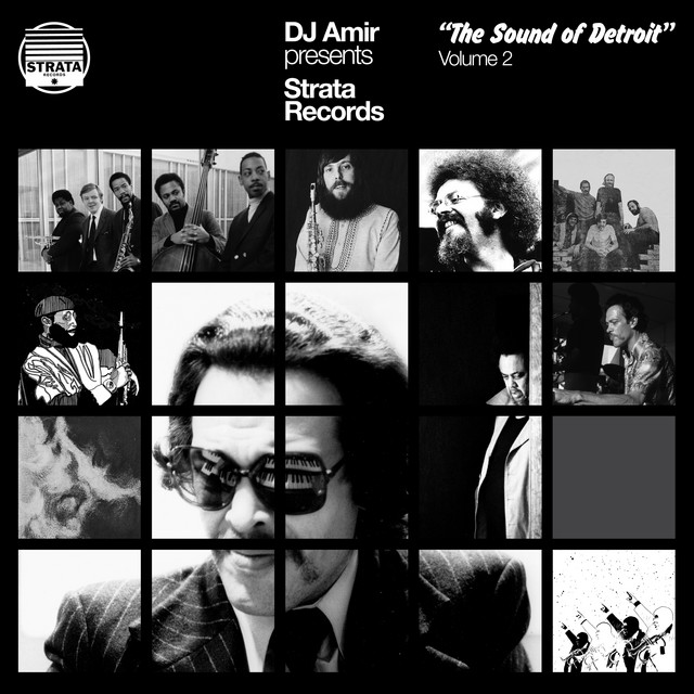 DJ Amir presents Strata Records-The Sound of Detroit Vol 2 cover
