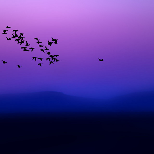 En el canto de un pajarito cover art