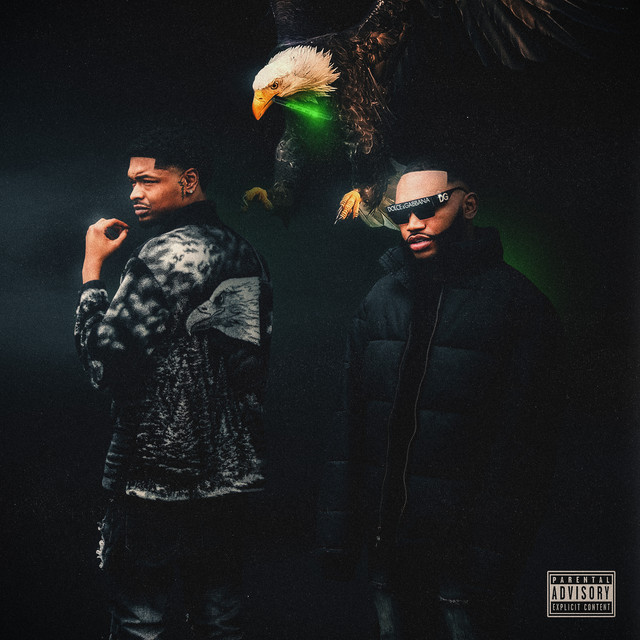 Bird Flu cover art