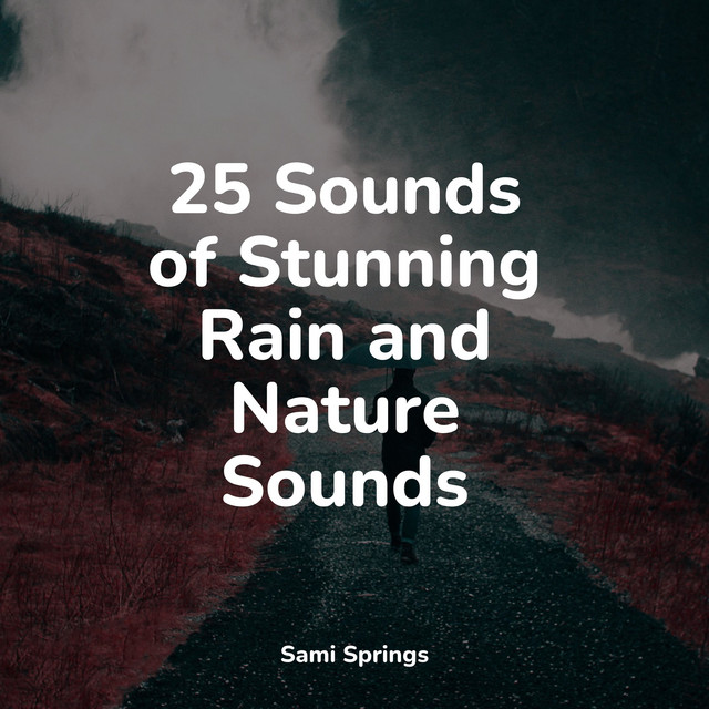 25 Sounds of Rain and Nature for Sleep - Album by Pet Care Music ...