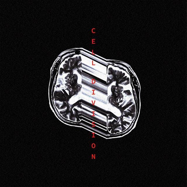 Cell Division cover art