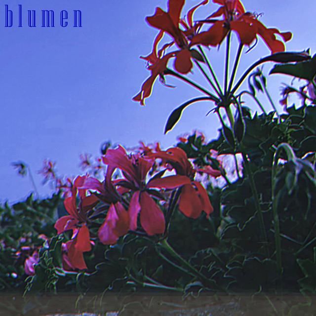 Blumen cover art