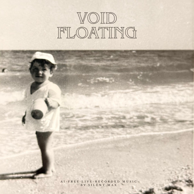 Обкладинка: Void Floating — Silent Max
