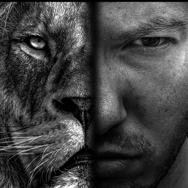 Mind of a Leo