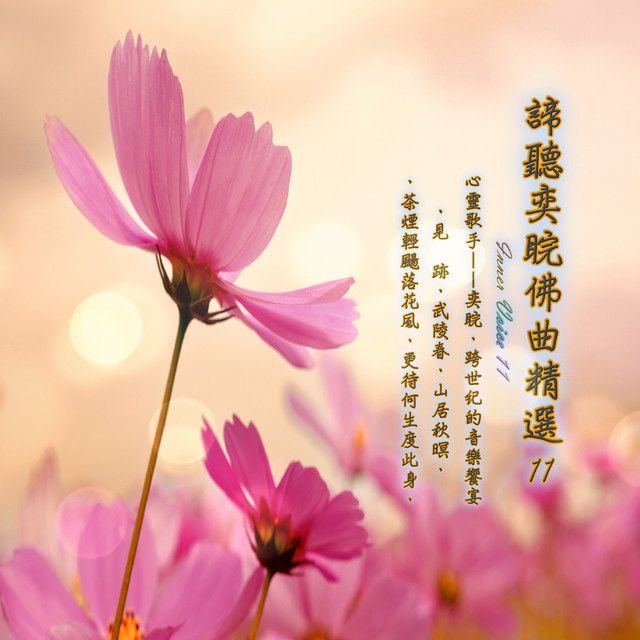 諦聽奕睆佛曲精選11 album image