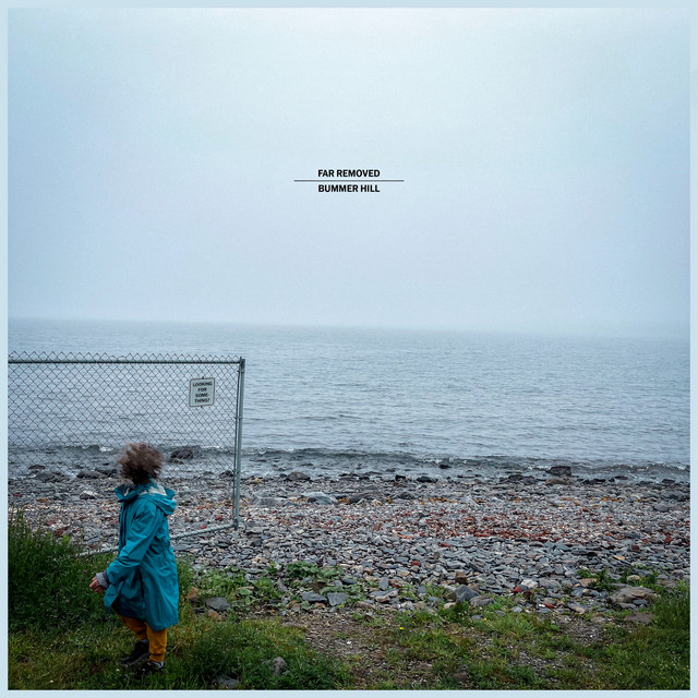 Far Removed cover art
