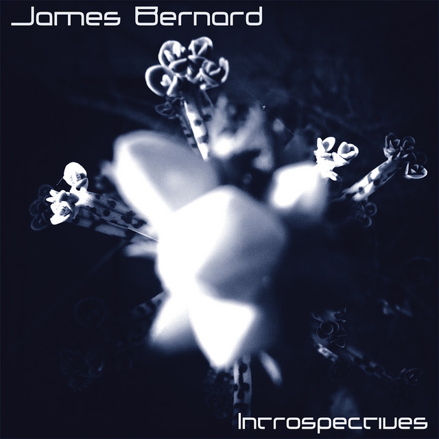 Introspective cover art