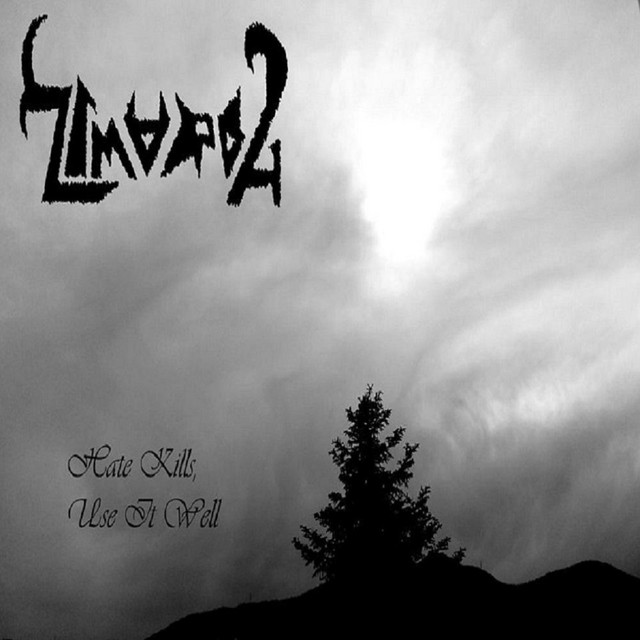 Hate Kills, Use It Well cover art