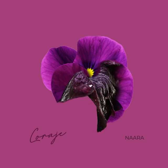 Naara | Spotify