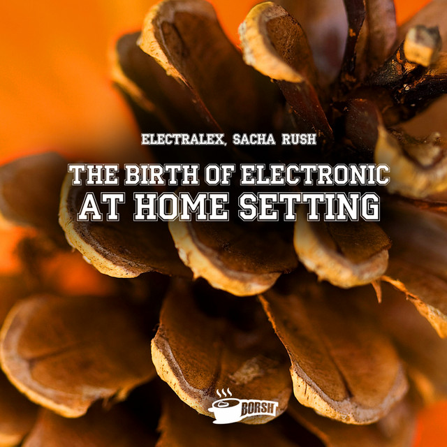 The Birth Of Electronic At Home Setting cover