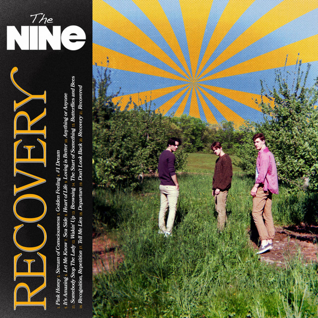 Recovery cover art