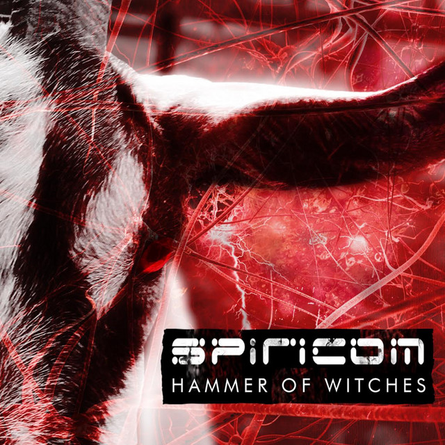 Hammer of Witches