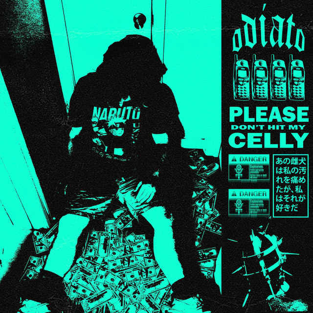 Please Don't Hit My Celly