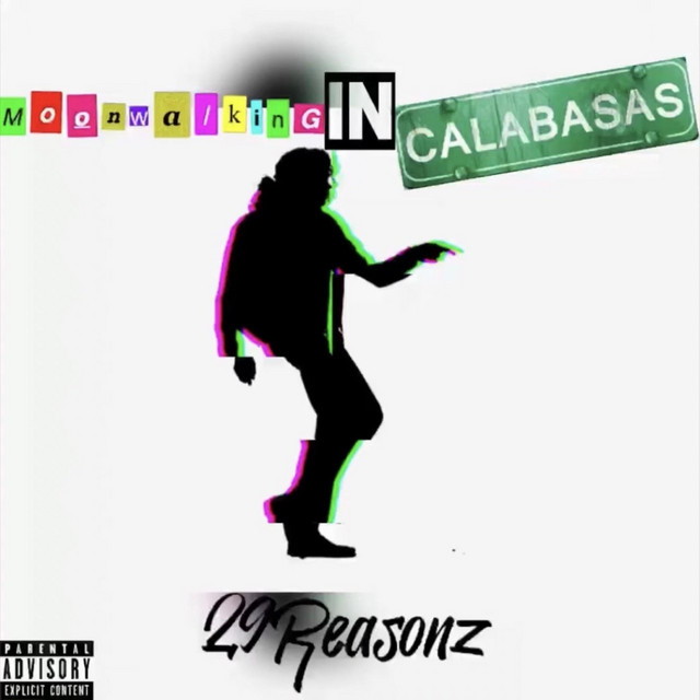 29reasonz