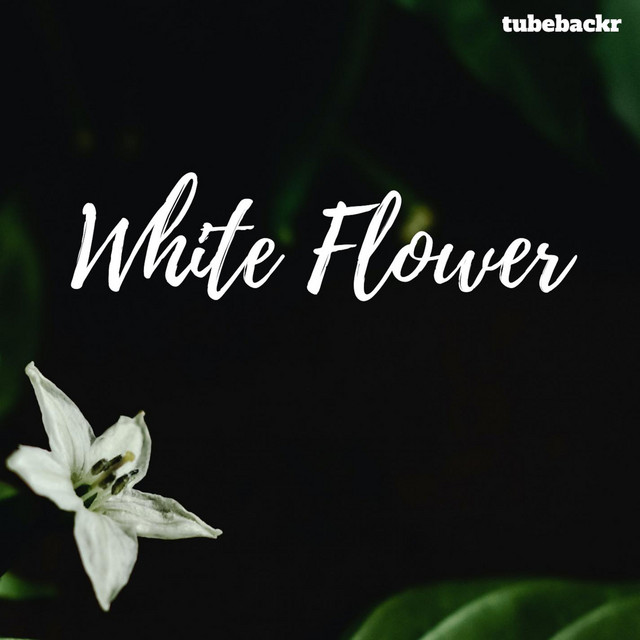 White Flower
