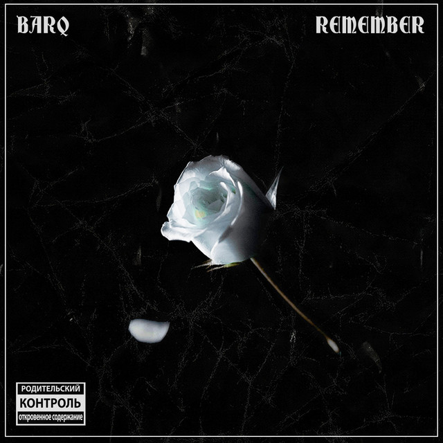 Remember cover art