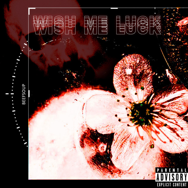 Wish Me Luck cover art