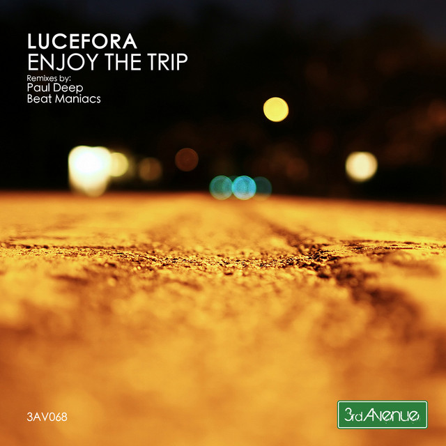 Enjoy the Trip cover art