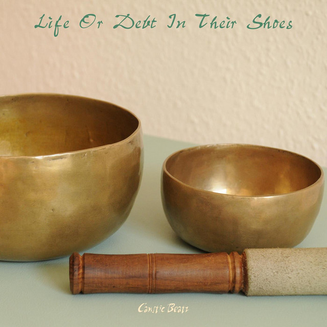 Life Or Debt In Their Shoes cover