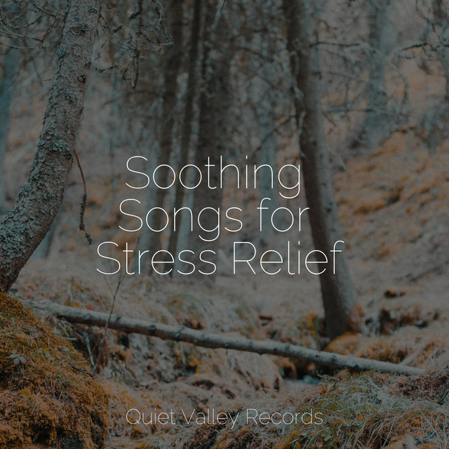Soothing Songs for Stress Relief cover art