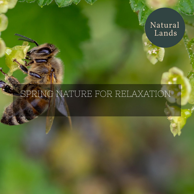 Spring Nature for Relaxation - Compilation by Various Artists | Spotify