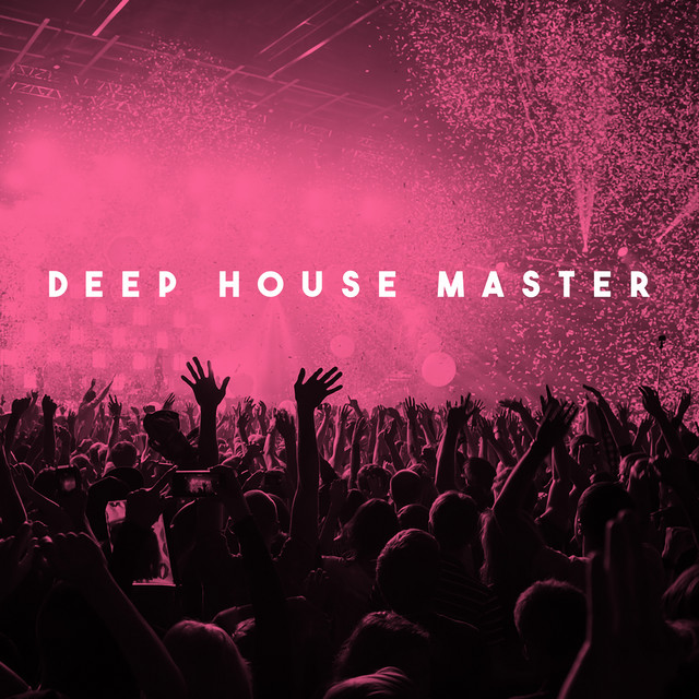 Deep House Master by Dance Hits 2014