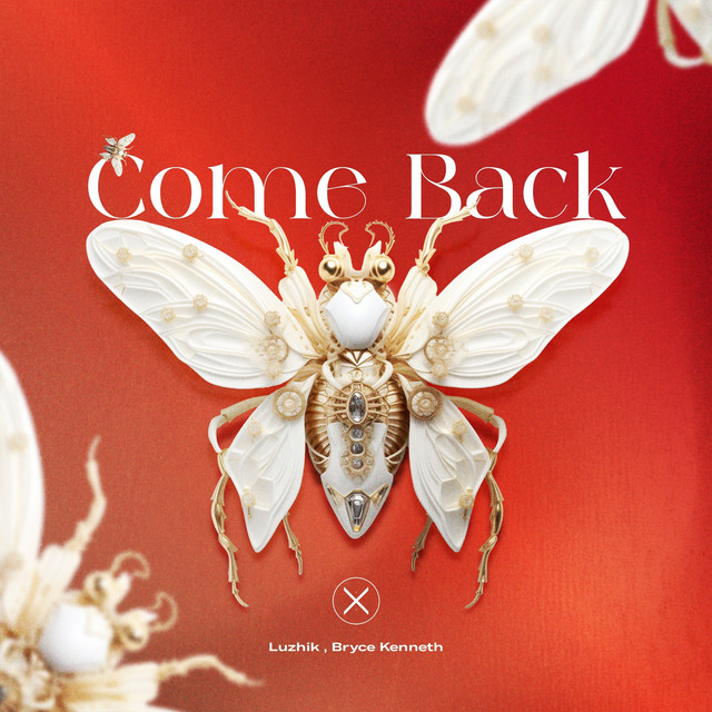 Обкладинка: Come Back — Luzhik