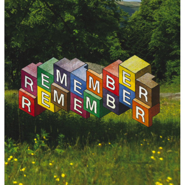 Remember Remember cover art