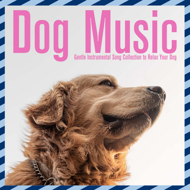 Dog Music: Gentle Instrumental Song Collection to Relax Your Dog cover art