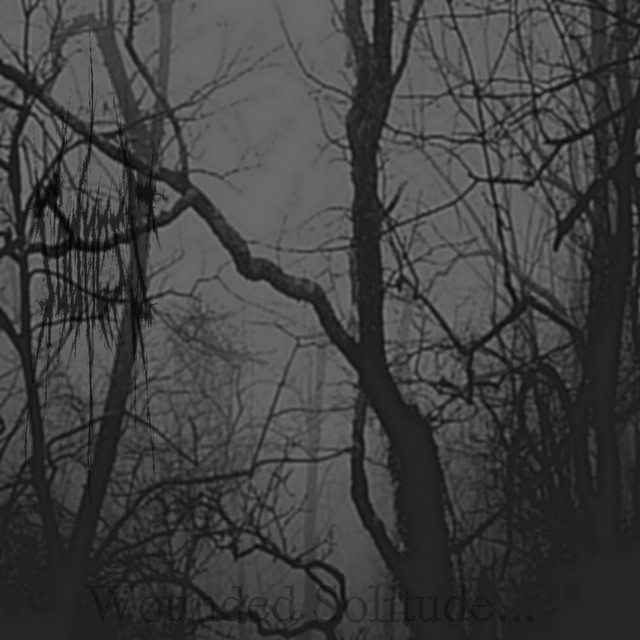 wounded solitude cover art