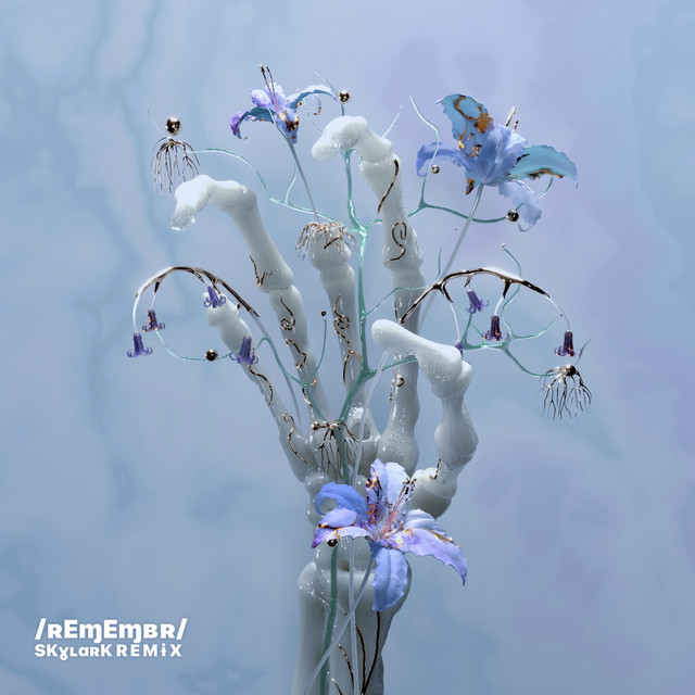 Remembr - Skylark Remix