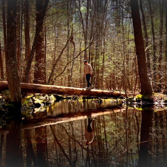 Introvert cover art