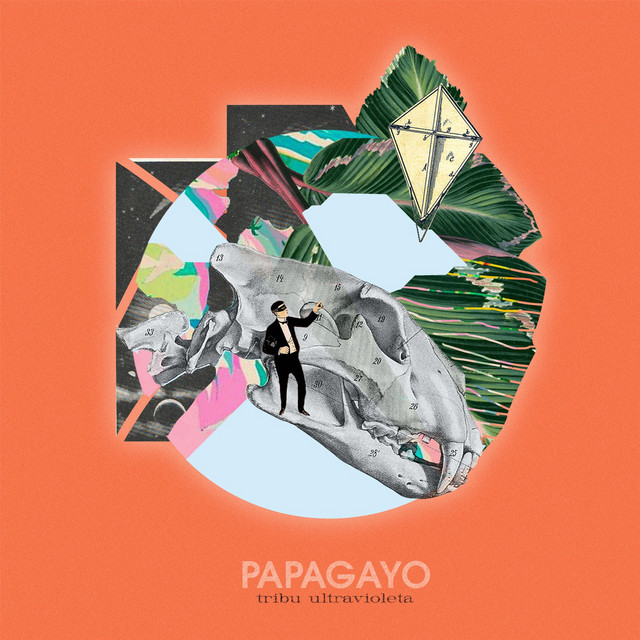 Papagayo cover