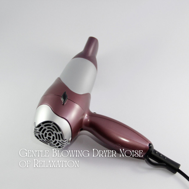 Gentle Blowing Dryer Noise of Relaxation cover art