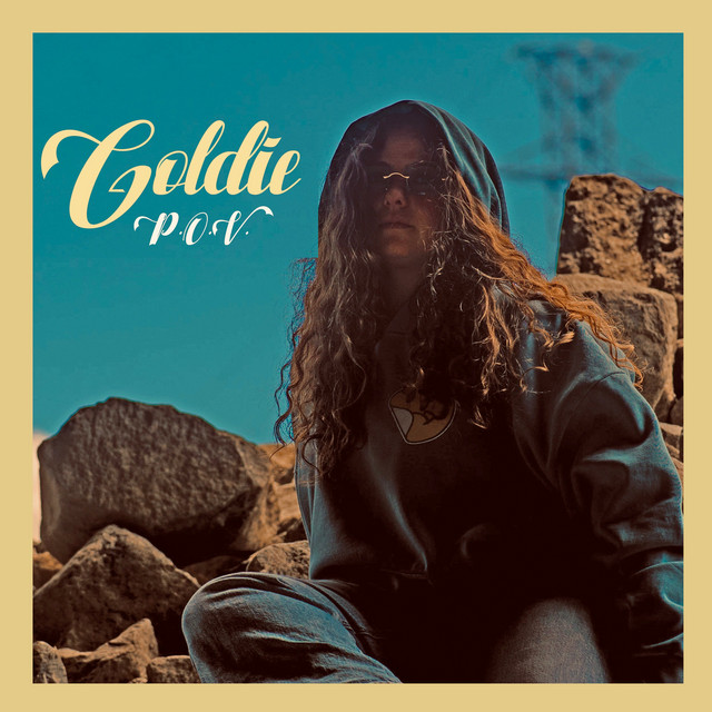 P.O.V. cover art
